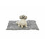 Trixie Decke Für Haustiere Trixie Leni Grau Wildleder 80 × 60 Cm
