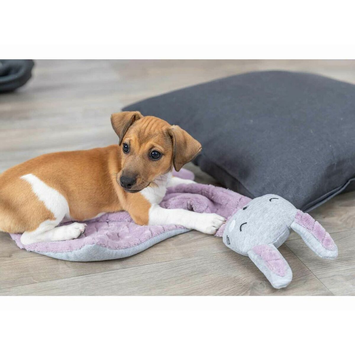 Trixie Decke Für Haustiere Trixie 038242 Lila Hellgrau 55 X 40 Cm