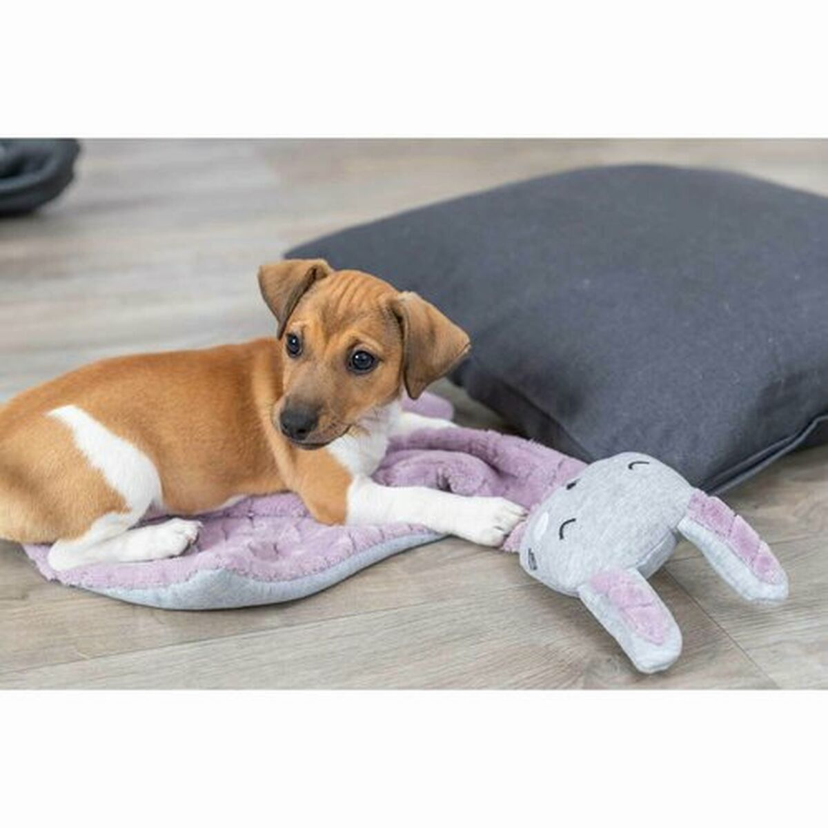 Trixie Decke Für Haustiere Trixie 038242 Lila Hellgrau 55 X 40 Cm