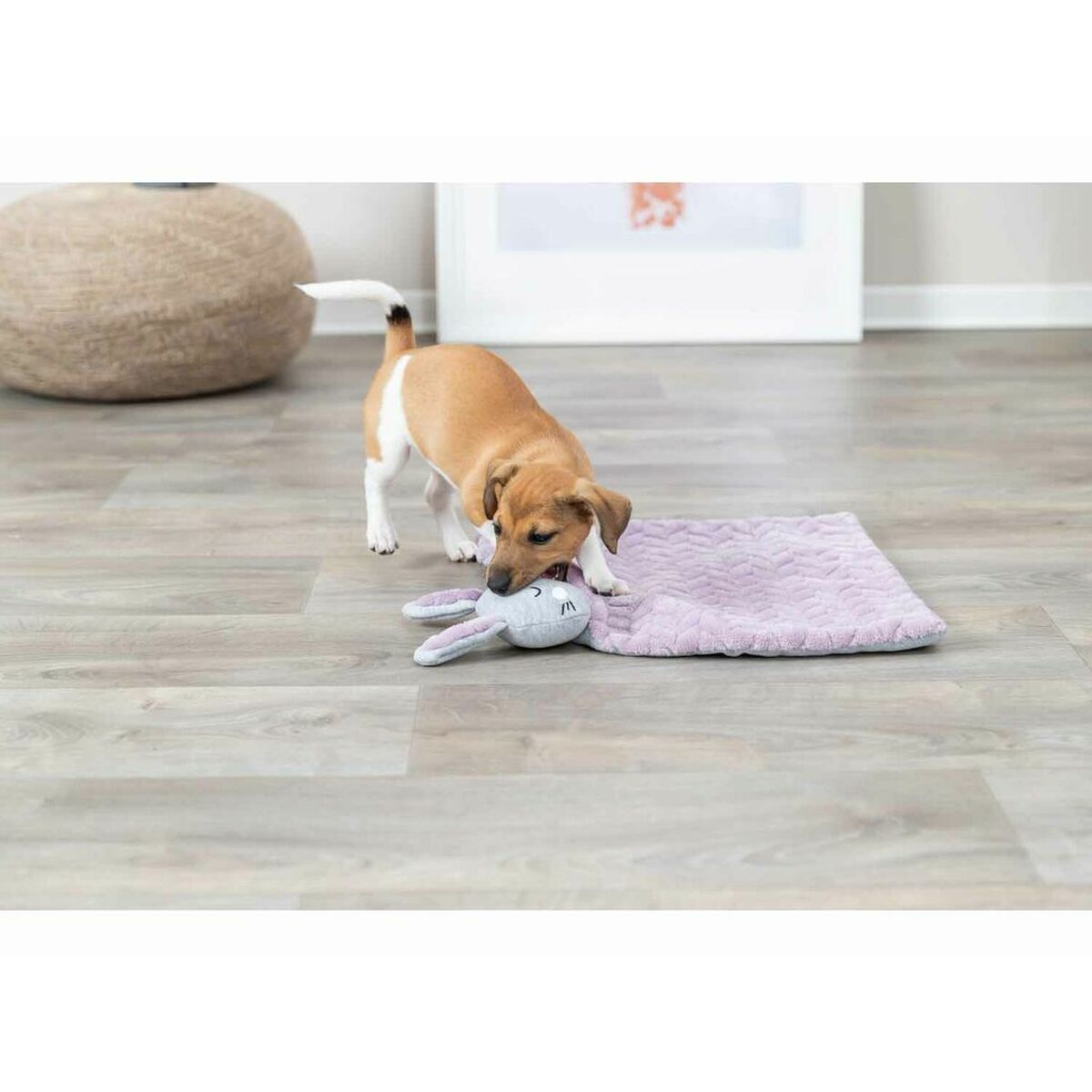 Trixie Decke Für Haustiere Trixie 038242 Lila Hellgrau 55 X 40 Cm