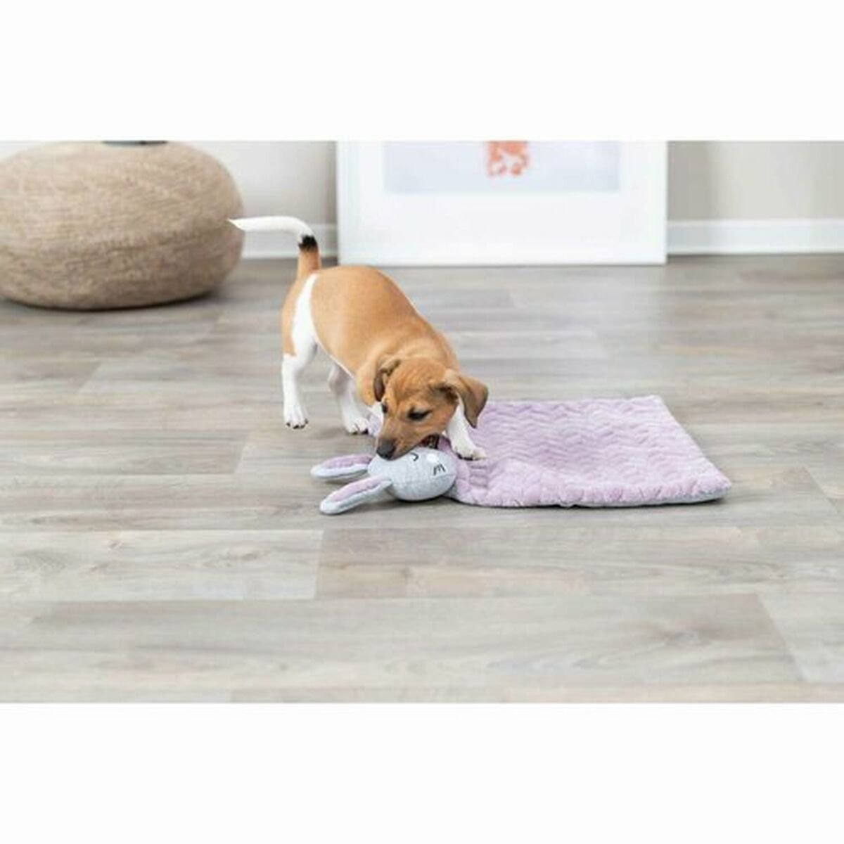 Trixie Decke Für Haustiere Trixie 038242 Lila Hellgrau 55 X 40 Cm