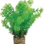 Zolux Ornament Pastic Pflanze Auf Steinen Neutral Sortiert