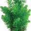 Zolux Ornament Pastic Pflanze Auf Steinen Neutral Sortiert
