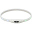 Trixie Leuchtendes Hundehalsband Usb Silikon Wiederaufladbar Multicolour