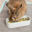 Trixie Futter-/Trinkschale Oval Keramik Sortiert