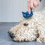 Mikki Doodle-Pflegeset Mit Kamm Und Slicker-Bürste