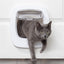 Petsafe Katzenklappe Big Cat 2.0 Flap