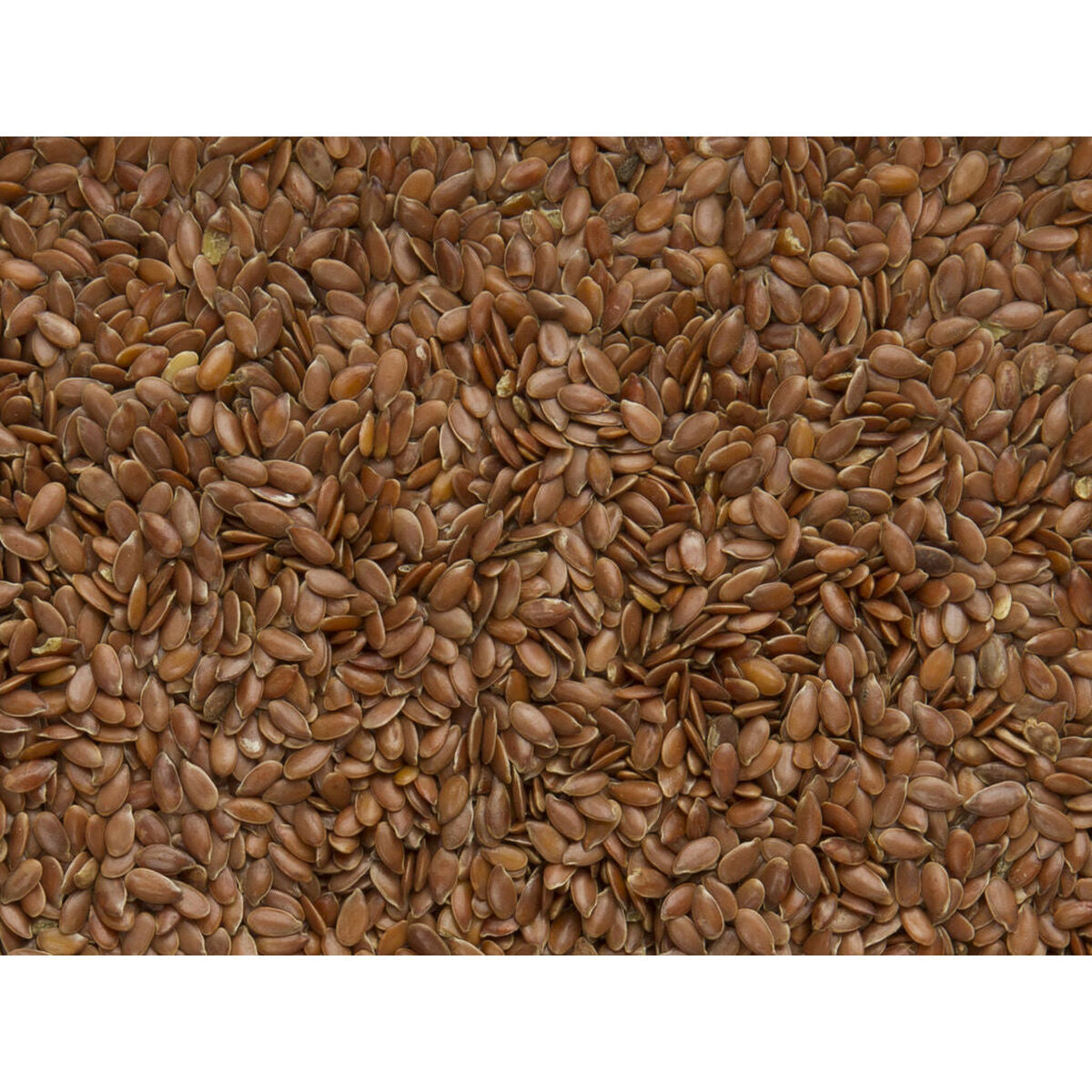 Deli Nature Vogelfutter Deli Nature Premium