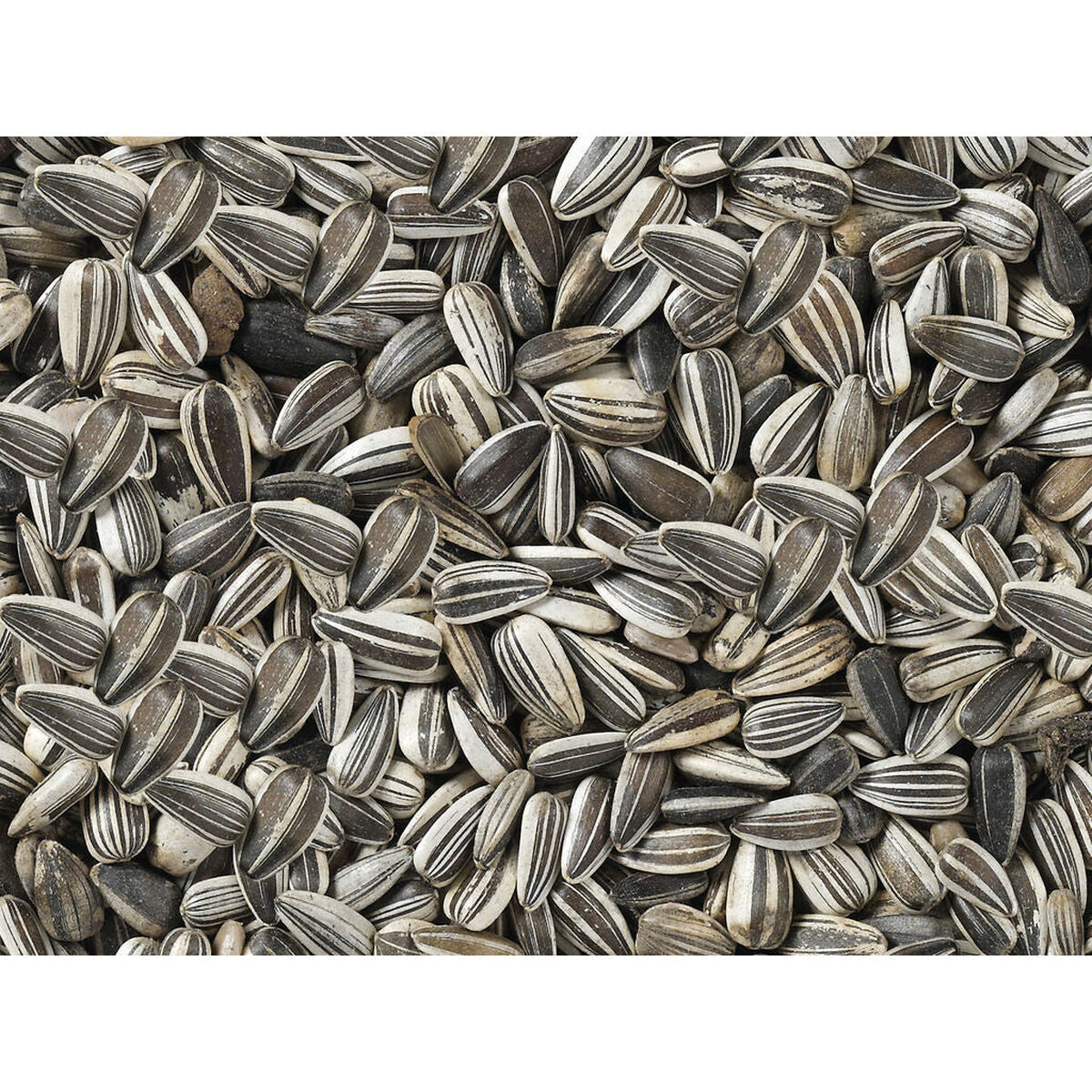 Deli Nature Vogelfutter Deli Nature Premium