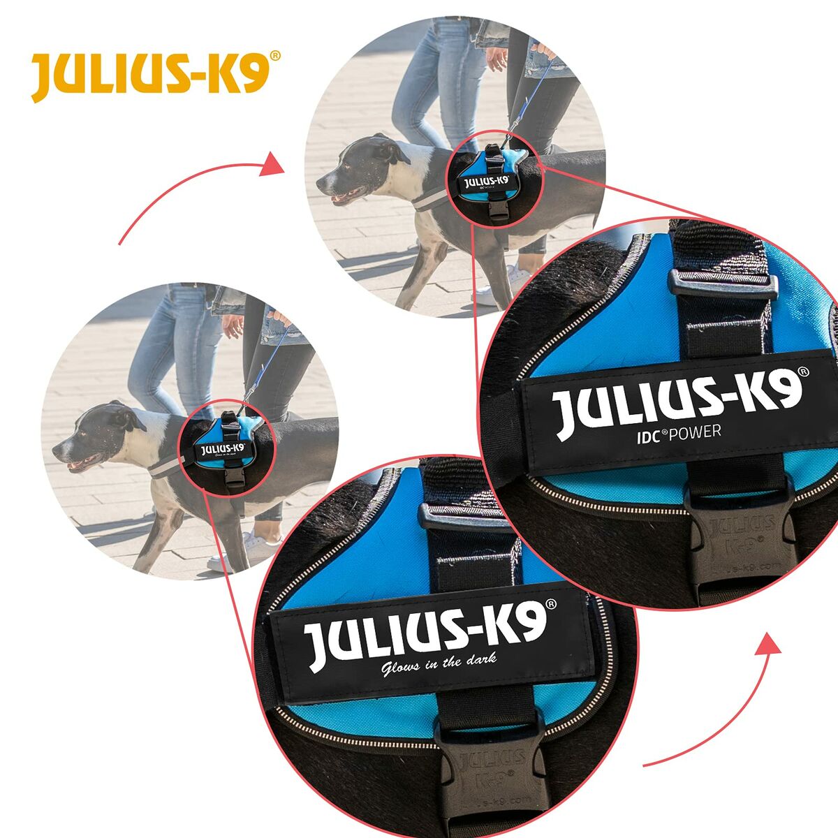 Julius K9 Hundegeschirr Julius K9 Power Schwarz L/Xl 2
