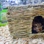 Nature First Glückliches Haustier Gras-Versteck
