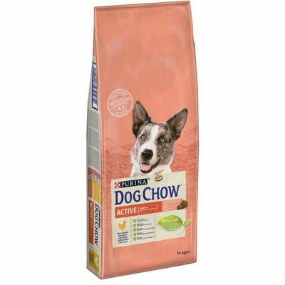 Purina Hundefutter Purina Dog Chow  Active Adult Erwachsener Huhn 14 Kg