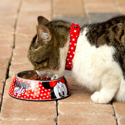 Minnie Mouse Futternapf Für Hunde Minnie Mouse 760 Ml Melamine Metall Bunt
