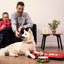 Marvel Hundebett Marvel Bunt