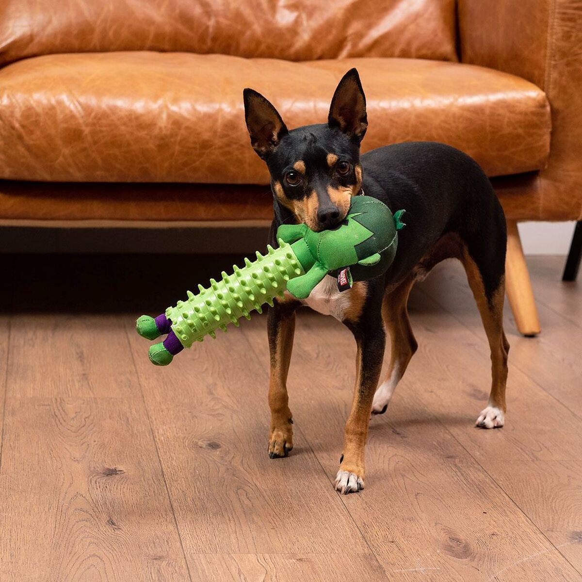 The Avengers Hundespielzeug The Avengers   Grün