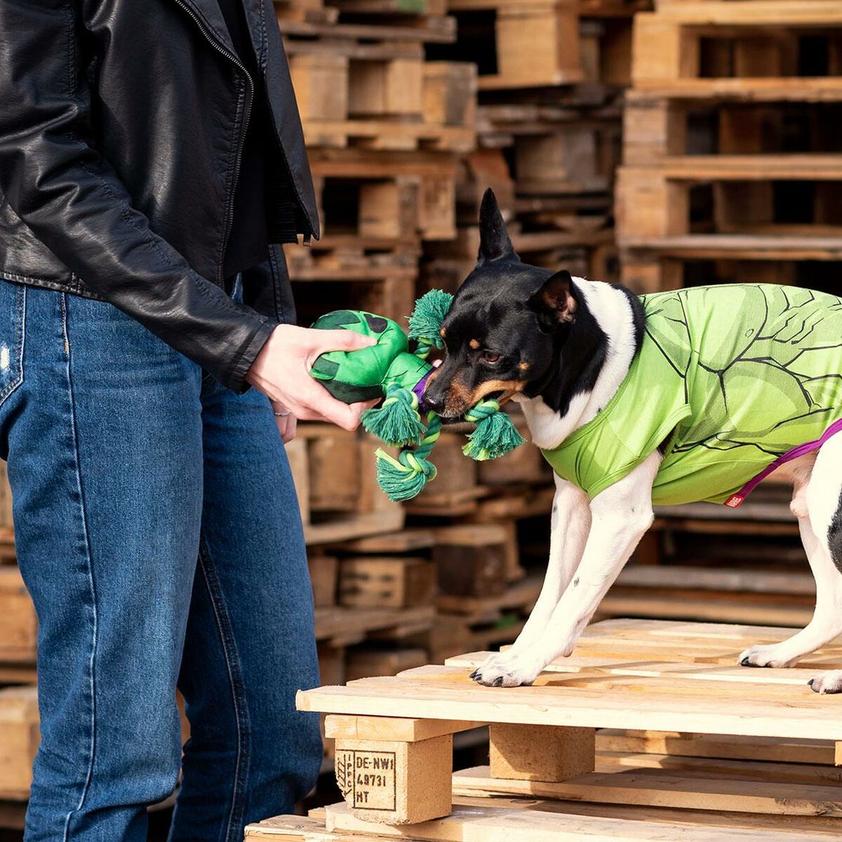 The Avengers Hundespielzeug The Avengers   Grün