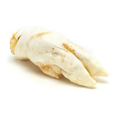 Gloria Hundesnack Gloria Füße