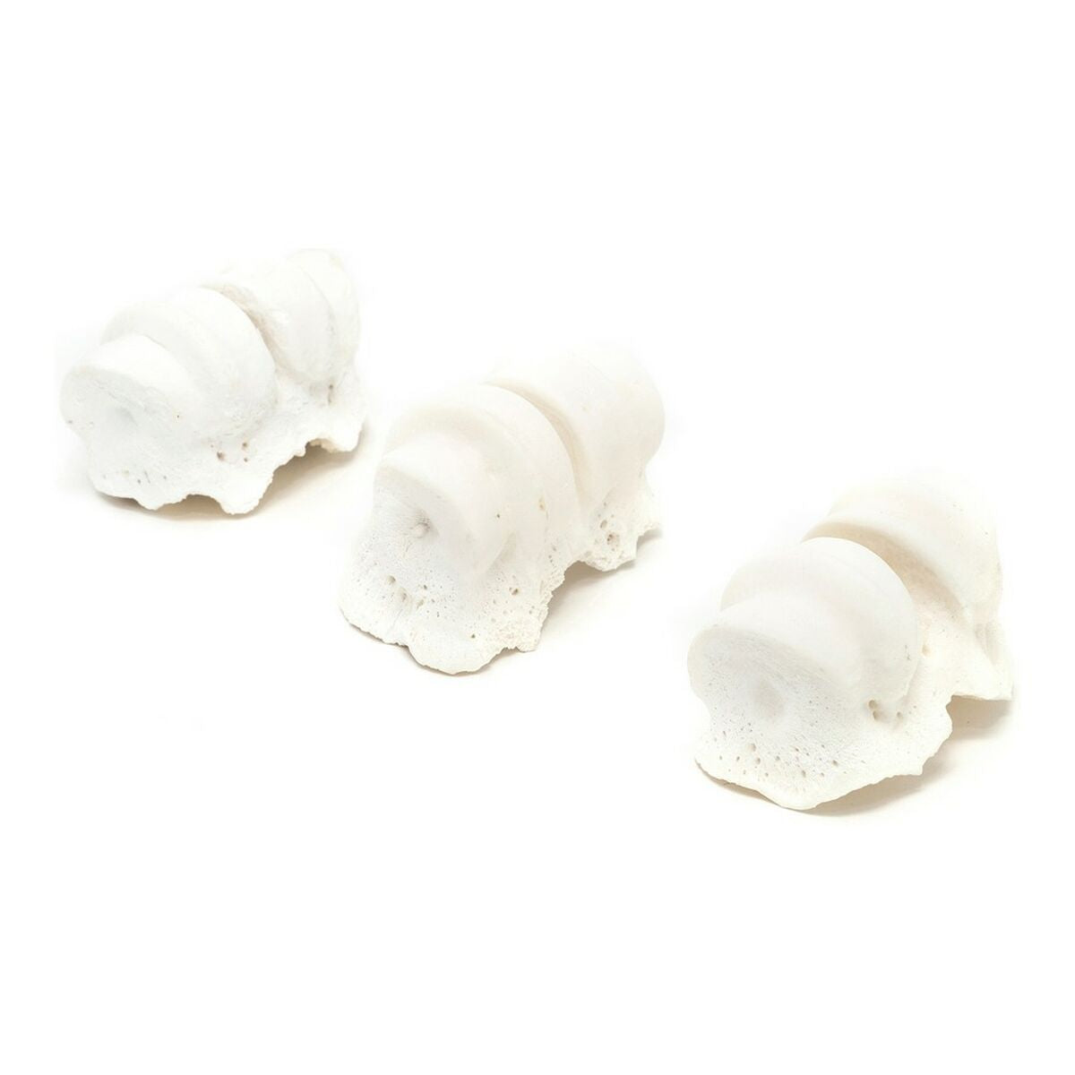 Gloria Hundesnack Gloria Knöchel Kalzium