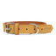 Gloria Hundehalsband Gloria Oasis 65 Cm Gelb (65 X 3 Cm)