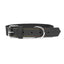 Gloria Hundehalsband Gloria Oasis Schwarz 35 Cm (1,2 X 35 Cm)