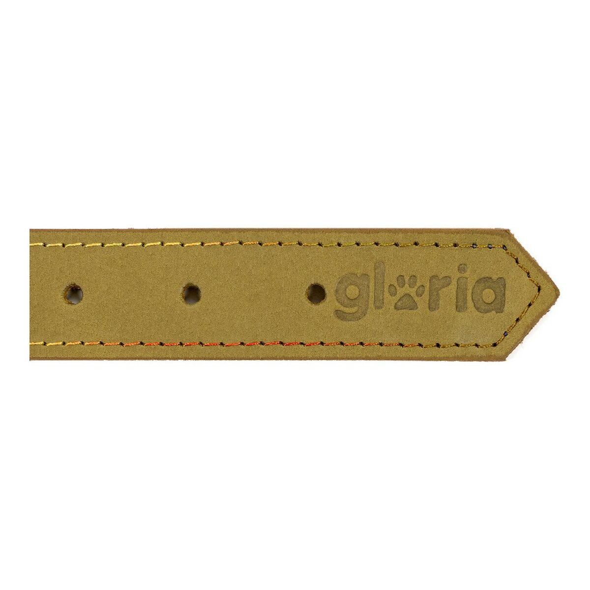 Gloria Hundehalsband Gloria Oasis Grün 55 Cm (55 X 2,5 Cm)