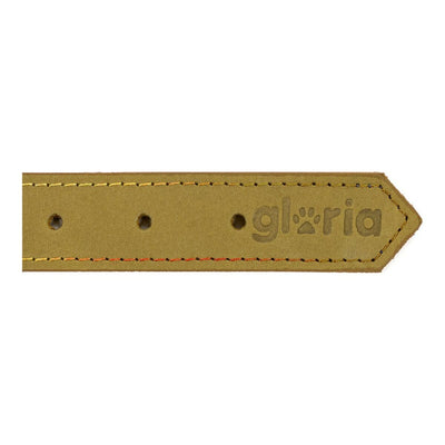 Gloria Hundehalsband Gloria Oasis Grün 55 Cm (55 X 2,5 Cm)