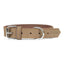 Gloria Hundehalsband Gloria Oasis Weiß 60 Cm (60 X 3 Cm)