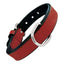 Gloria Hundehalsband Gloria Polsterung Rot 50 Cm (50 X 2,5 Cm)
