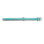 Gloria Hundehalsband Gloria Polsterung Turquoise 35 Cm (35 X 1,5 Cm)