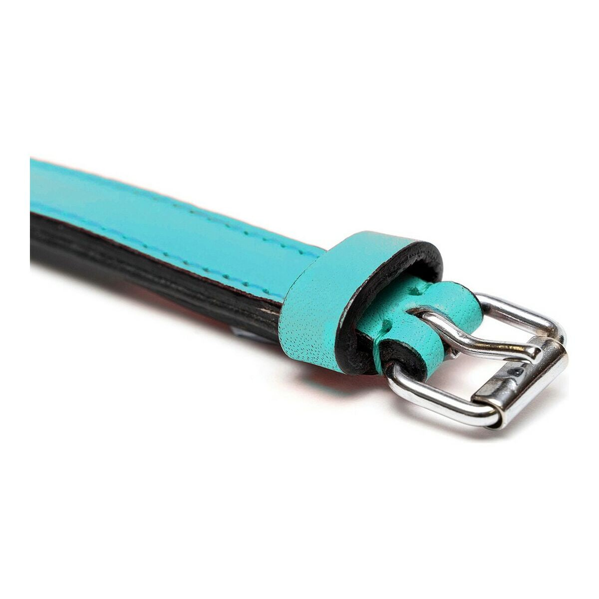 Gloria Hundehalsband Gloria Polsterung Turquoise 40 Cm (40 X 2 Cm)