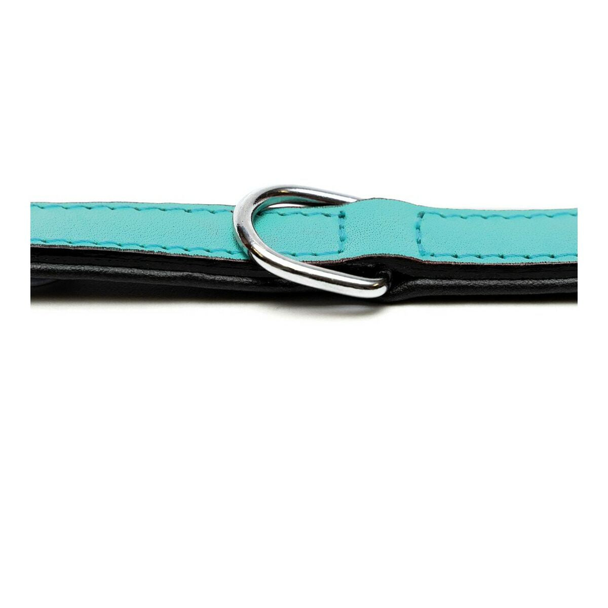 Gloria Hundehalsband Gloria Polsterung Turquoise 40 Cm (40 X 2 Cm)