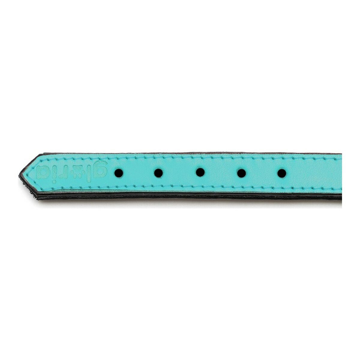 Gloria Hundehalsband Gloria Polsterung Turquoise 40 Cm (40 X 2 Cm)