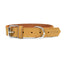 Gloria Hundehalsband Gloria Oasis Gelb 40 Cm (1,5 X 40 Cm)