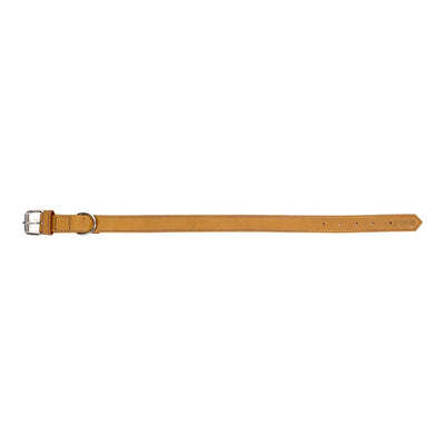 Gloria Hundehalsband Gloria Oasis Gelb 40 Cm (1,5 X 40 Cm)