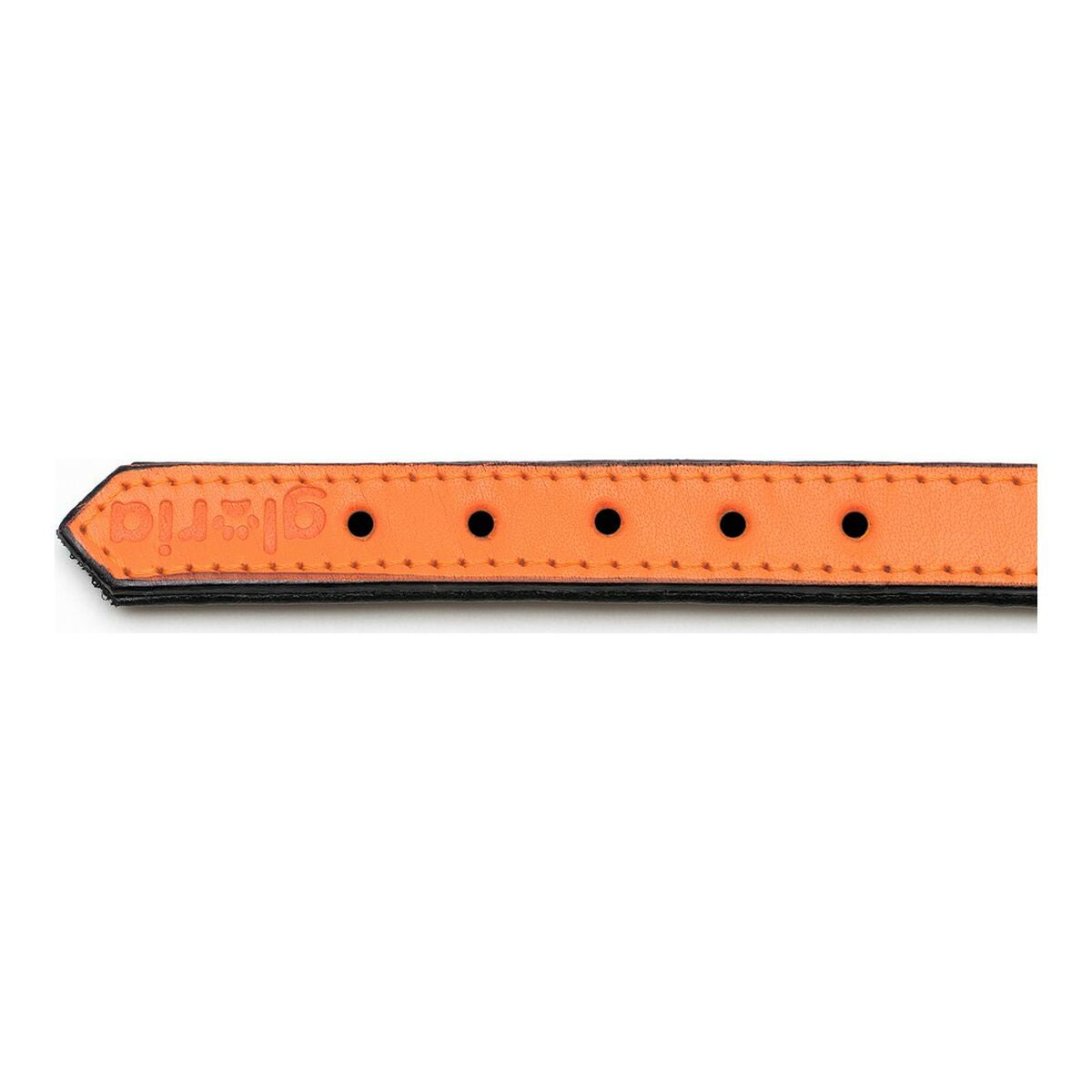 Gloria Hundehalsband Gloria Polsterung Orange 50 Cm (50 X 2,5 Cm)