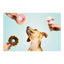 Gloria Hundespielzeug Gloria Gloicecream 9 X 9 X 17 Cm Eiscreme