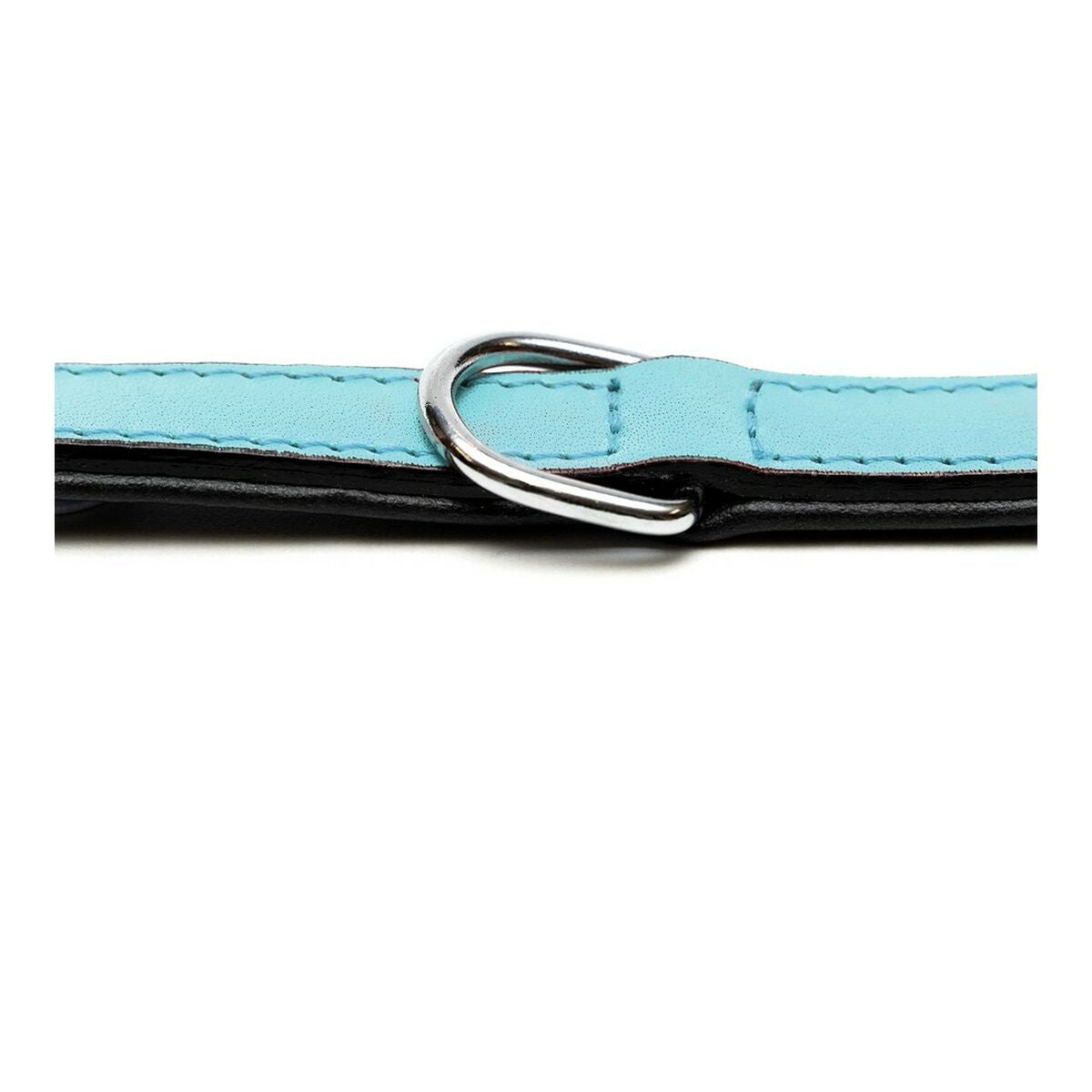Gloria Hundehalsband Gloria Polsterung Blau 35 Cm (35 X 1,5 Cm)