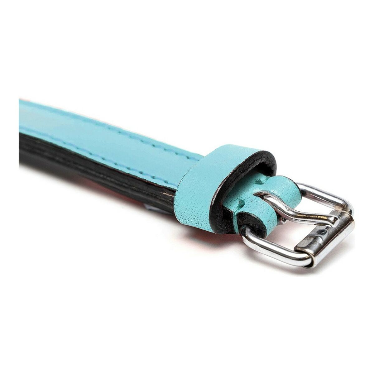 Gloria Hundehalsband Gloria Polsterung Blau 35 Cm (35 X 1,5 Cm)