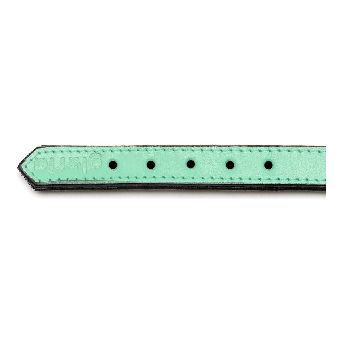 Gloria Hundehalsband Gloria Polsterung Grün 30 Cm (30 X 1,5 Cm)
