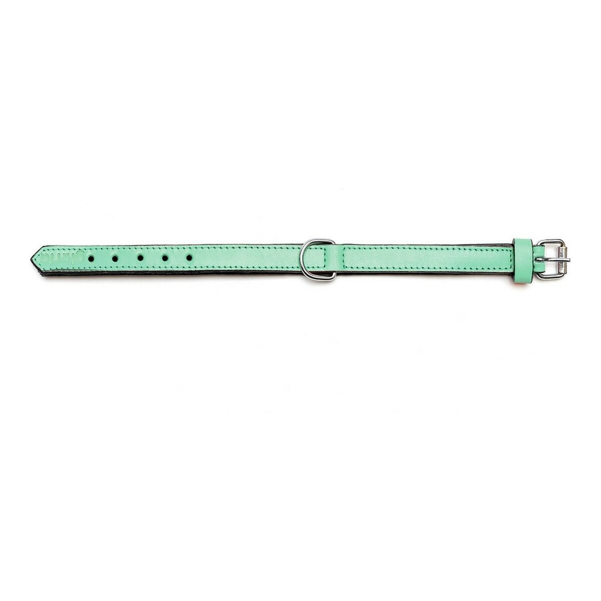 Gloria Hundehalsband Gloria Polsterung 45 Cm Grün (45 X 2 Cm)