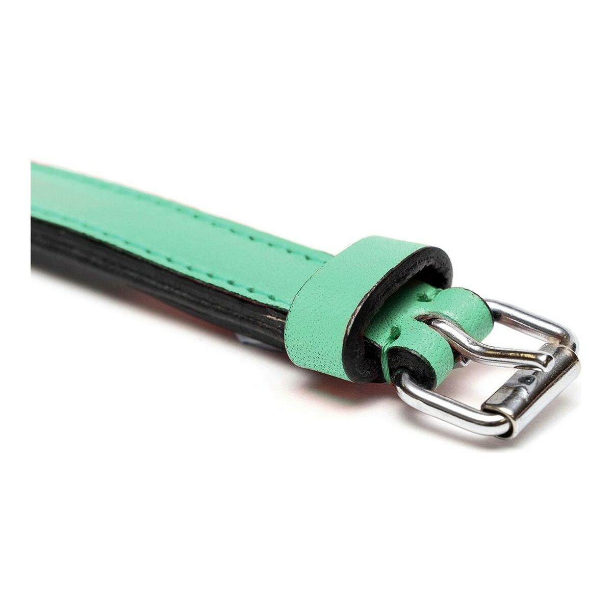 Gloria Hundehalsband Gloria Polsterung 45 Cm Grün (45 X 2 Cm)