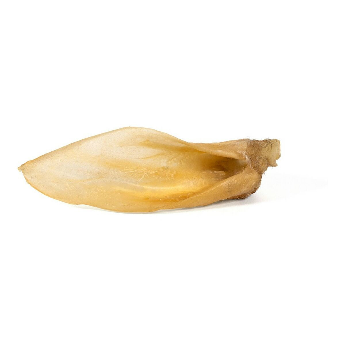 Gloria Hundesnack Gloria Ohren Lamm