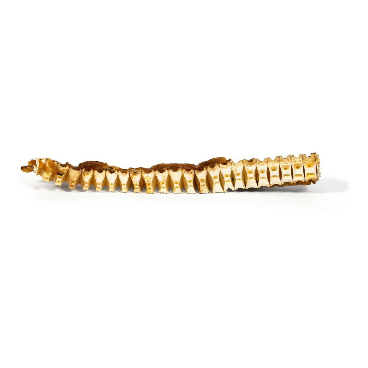 Gloria Hundesnack Gloria Fisch (150 G)