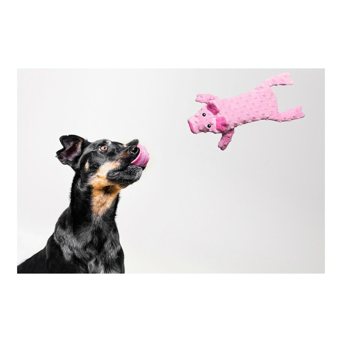 Gloria Hundespielzeug Gloria Dogmonsters Rosa Schwein 34 X 9 Cm