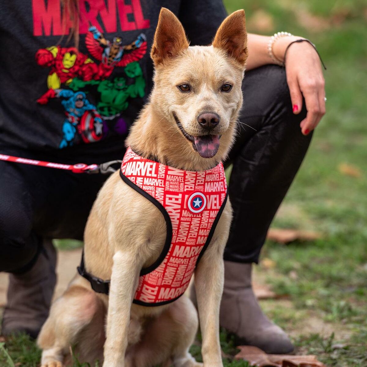 Marvel Hundegeschirr Marvel M/L