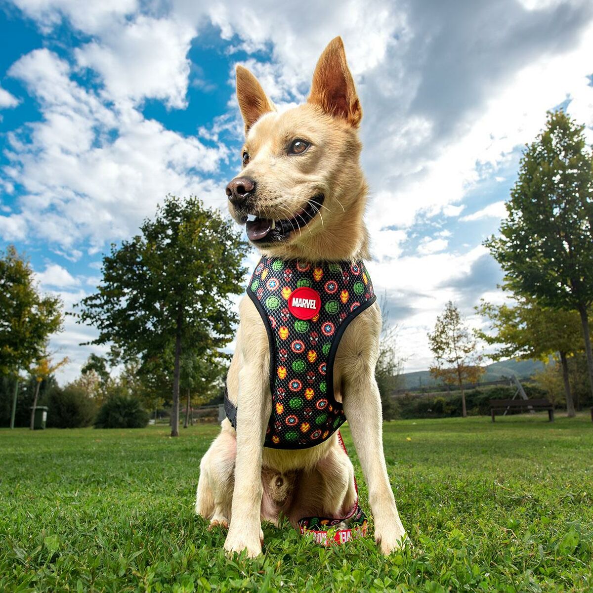 Marvel Hundegeschirr Marvel M/L