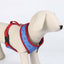 Dc Pets Hundegeschirr Dc Pets