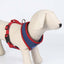 Dc Pets Hundegeschirr Dc Pets